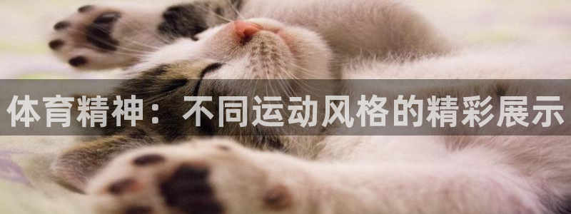 米兰体育中心