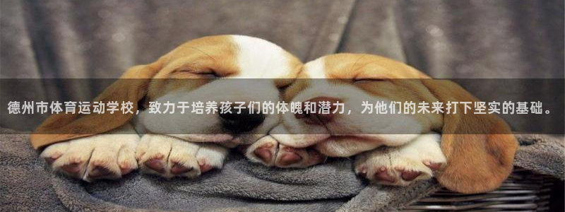米兰体育在线