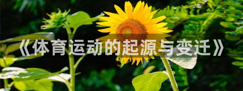米兰体育网站
