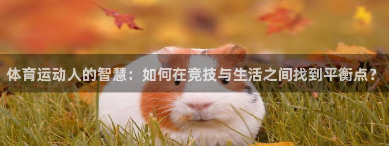 米兰体育报