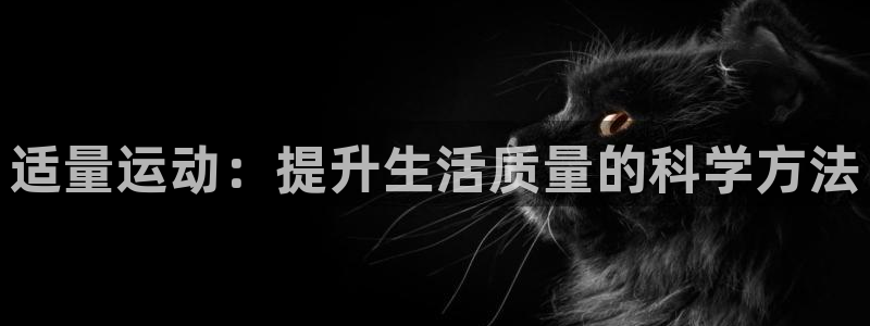 米兰体育场